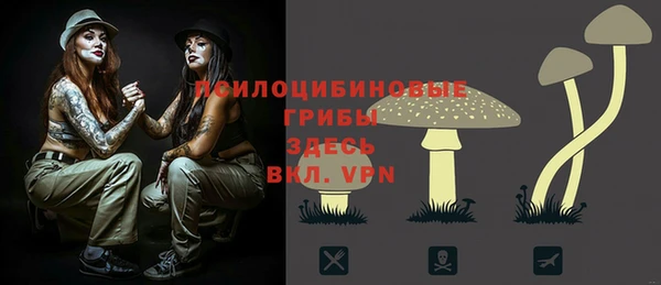 крисы Ахтубинск